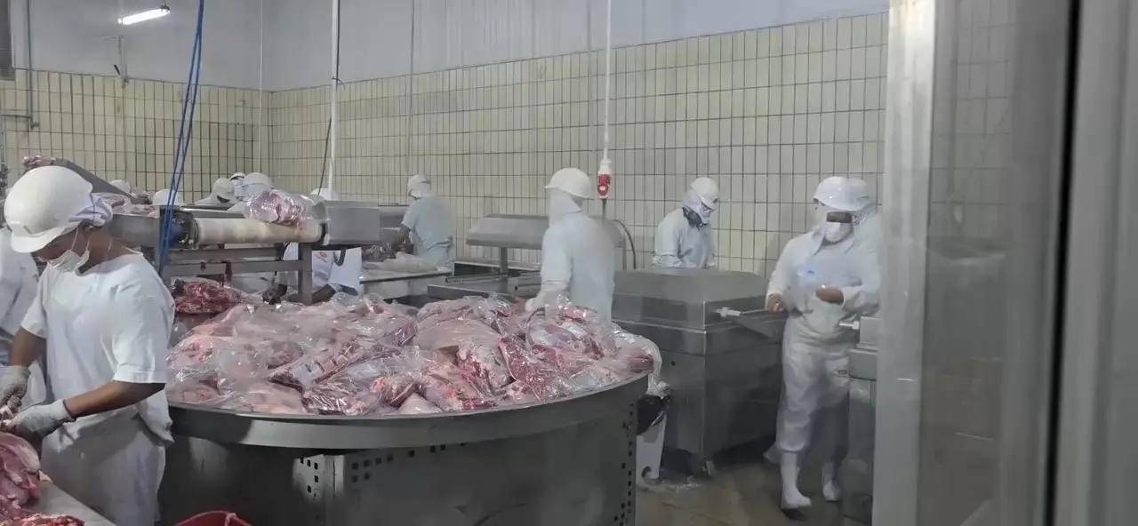 Sala de desossa de frigorífico com equipe uniformizada e cortes embalados na mesa de produção