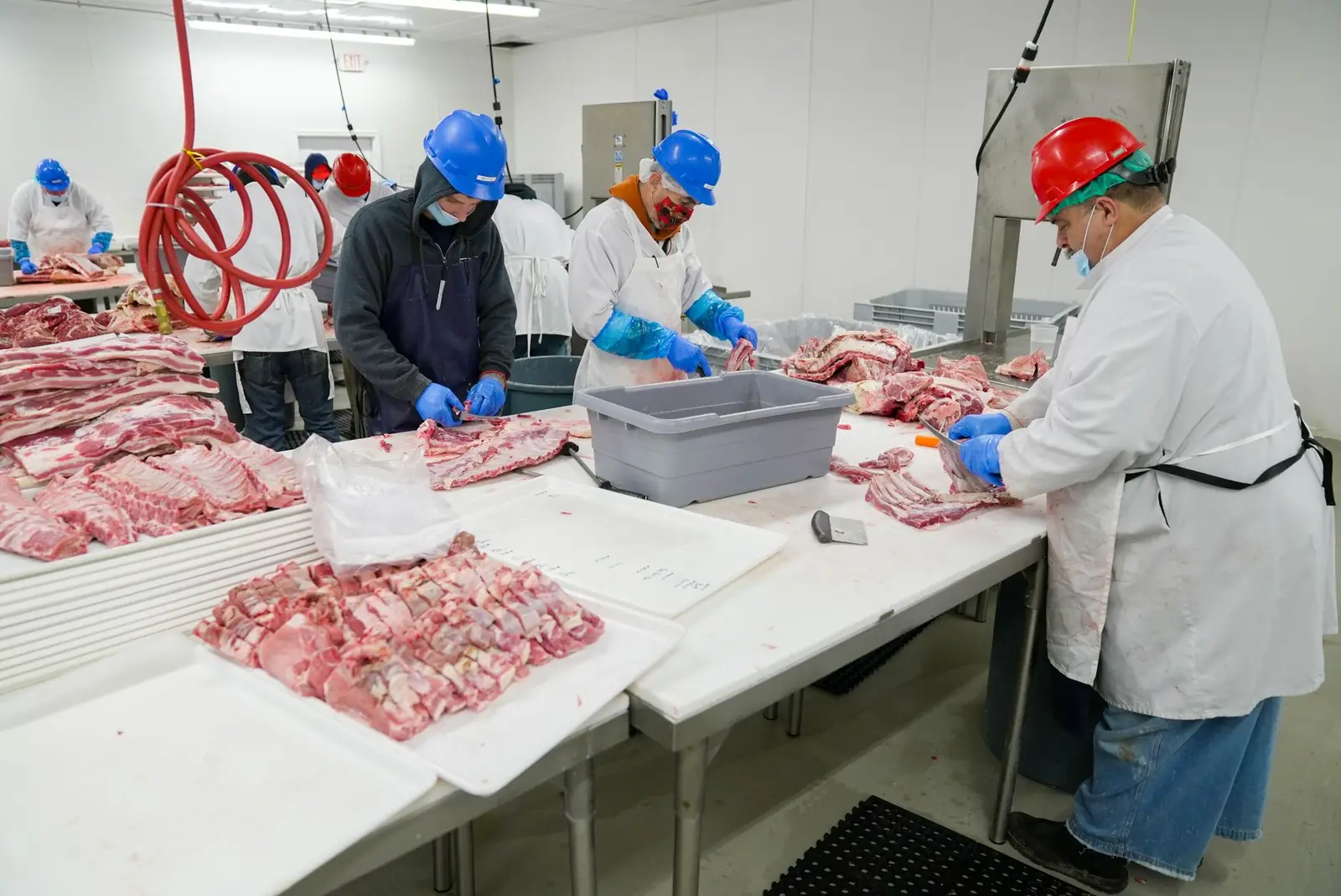 Equipe de frigorífico com uniforme e EPI trabalhando cortes de carne em bancadas de inox na área de produção